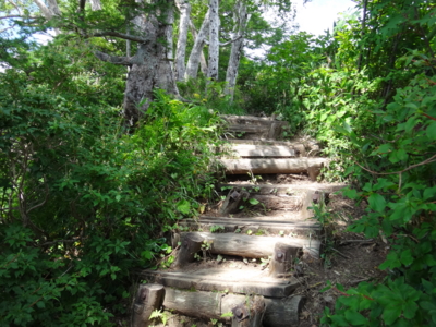 f:id:hatekota810:20130824181702j:image