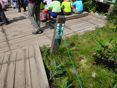 f:id:hatekota810:20130824184742j:image