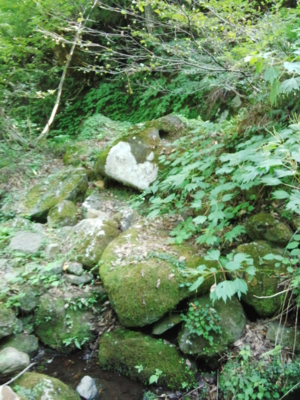 f:id:hatekota810:20130826185221j:image