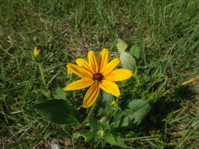 f:id:hatekota810:20130905191918j:image
