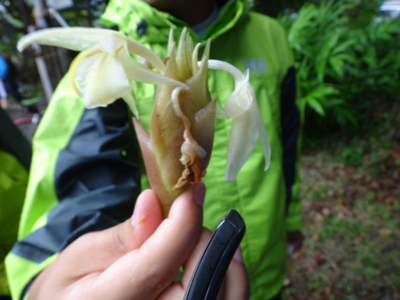 f:id:hatekota810:20130910194654j:image