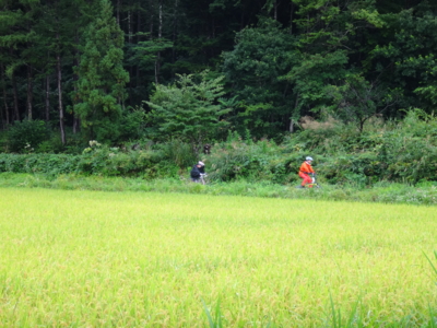 f:id:hatekota810:20130920190527j:image