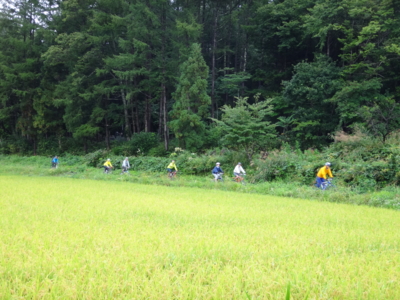 f:id:hatekota810:20130920190614j:image