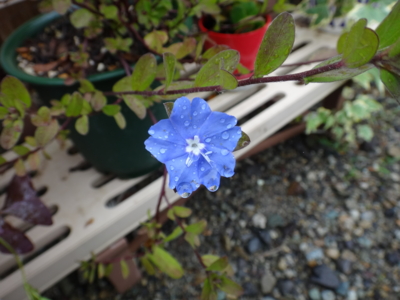 f:id:hatekota810:20130921135329j:image