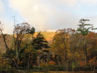 f:id:hatekota810:20131015194844j:image