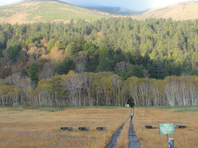 f:id:hatekota810:20131015195010j:image