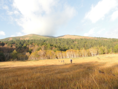 f:id:hatekota810:20131015195411j:image