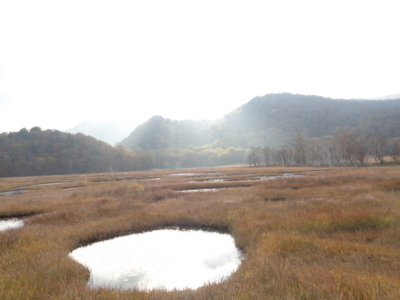 f:id:hatekota810:20131015195738j:image