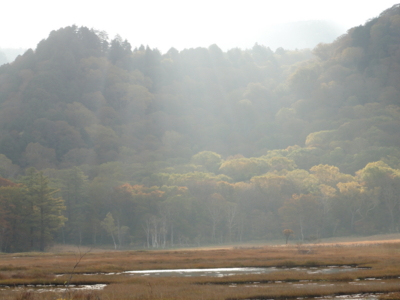 f:id:hatekota810:20131015195845j:image