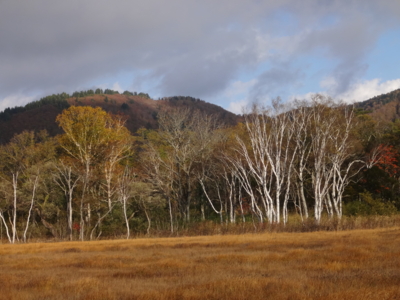 f:id:hatekota810:20131015200313j:image