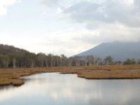 f:id:hatekota810:20131015200752j:image