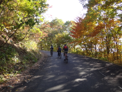 f:id:hatekota810:20131104190105j:image