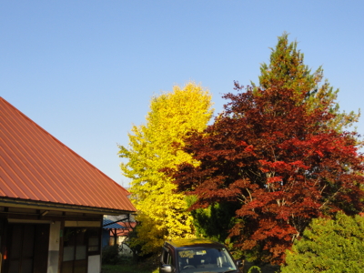 f:id:hatekota810:20131104190538j:image