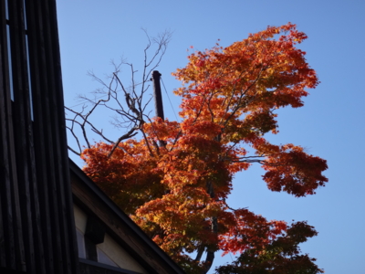 f:id:hatekota810:20131105184752j:image