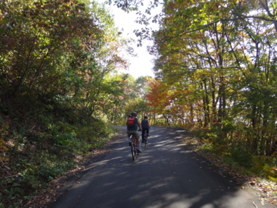 f:id:hatekota810:20131106193724j:image