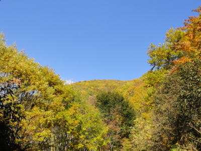 f:id:hatekota810:20131107201454j:image