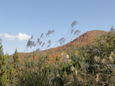 f:id:hatekota810:20131107202450j:image