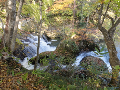 f:id:hatekota810:20131107203100j:image