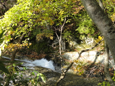 f:id:hatekota810:20131107203651j:image