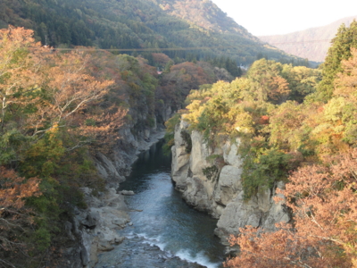 f:id:hatekota810:20131110182553j:image