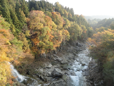 f:id:hatekota810:20131111191717j:image