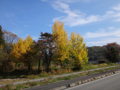 f:id:hatekota810:20131115181953j:image