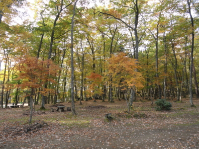 f:id:hatekota810:20131116193942j:image