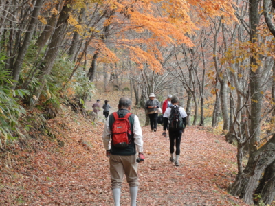 f:id:hatekota810:20131116200119j:image