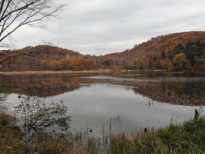 f:id:hatekota810:20131117194655j:image