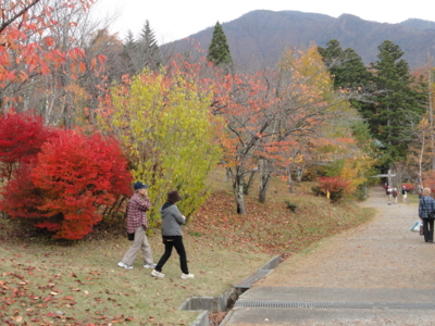 f:id:hatekota810:20131119105619j:image