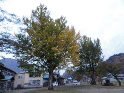 f:id:hatekota810:20131121192632j:image