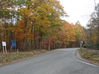 f:id:hatekota810:20131121192915j:image