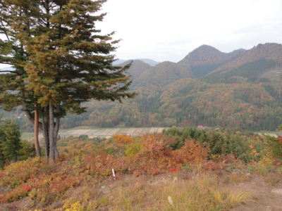 f:id:hatekota810:20131121193138j:image