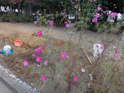 f:id:hatekota810:20131202193039j:image