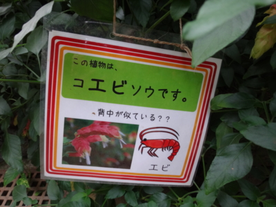 f:id:hatekota810:20131210193845j:image