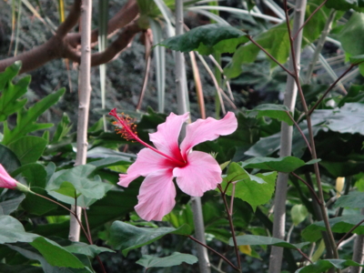 f:id:hatekota810:20131211192834j:image