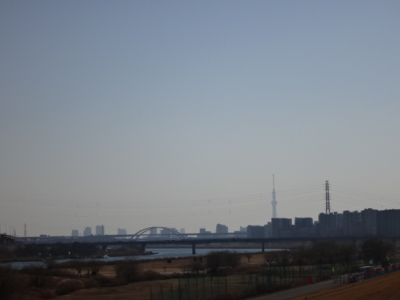 f:id:hatekota810:20140101181159j:image