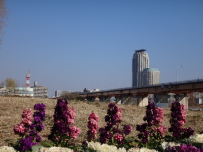 f:id:hatekota810:20140101181413j:image