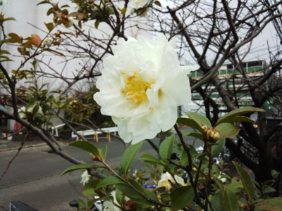 f:id:hatekota810:20140109191846j:image