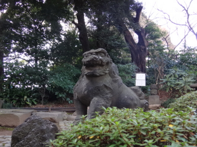 f:id:hatekota810:20140126171428j:image