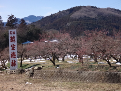 f:id:hatekota810:20140223152012j:image