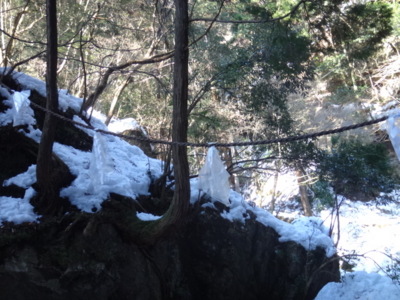 f:id:hatekota810:20140303185253j:image