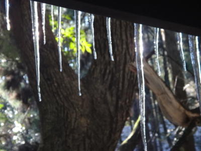 f:id:hatekota810:20140303190243j:image