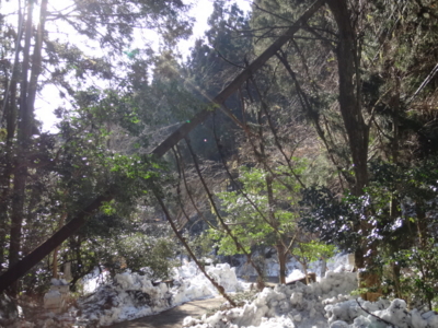 f:id:hatekota810:20140304193720j:image