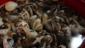 20140330182304