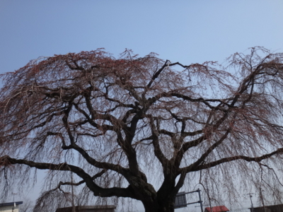 f:id:hatekota810:20140429150028j:image