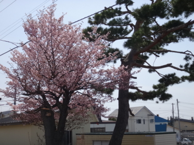 f:id:hatekota810:20140429150155j:image