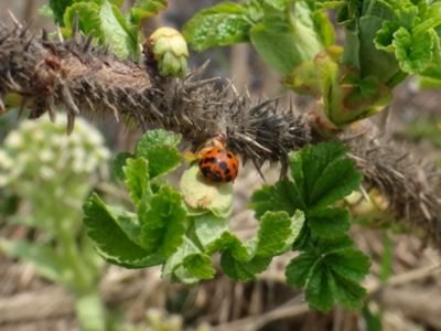 f:id:hatekota810:20140507064655j:image