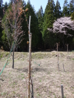 f:id:hatekota810:20140508193457j:image