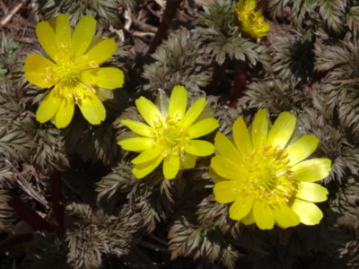 f:id:hatekota810:20140508193804j:image